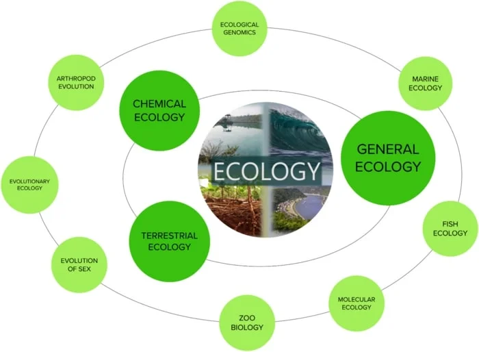 DEMO CONTENT STRUCTURE (NATURAL SCIENCES GR 8 SAMPLE)